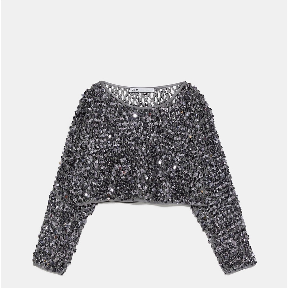 Zara limited edition mesh sequin sweater